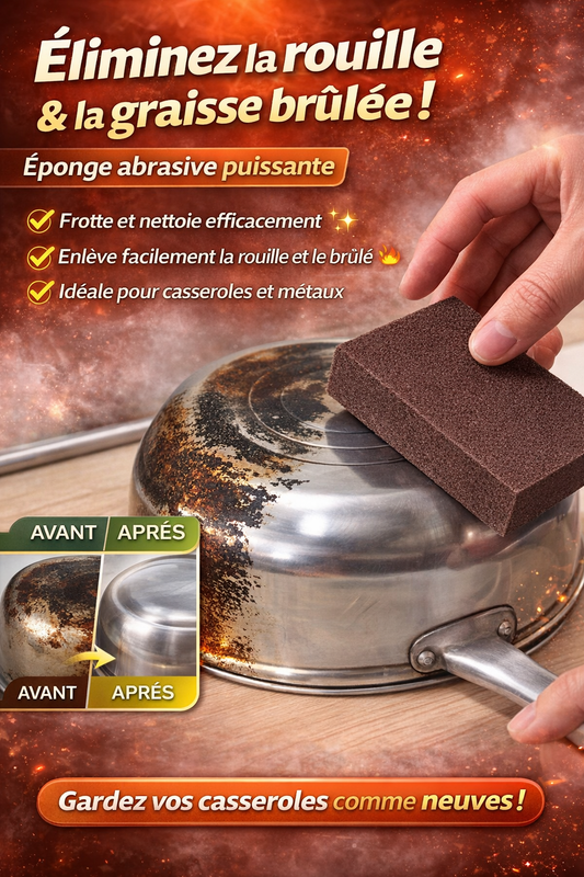 Eponge Carborundum (Lot de 10 Eponges)
